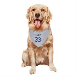 Los Angeles Dodgers Eric Lauer Gray Pet Bandana for Dog & Cat