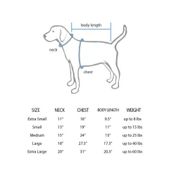 Los Angeles Dodgers Evan Phillips Royal Pet Jersey for Dog & Cat