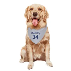 Los Angeles Dodgers Fernando Valenzuela Gray Pet Bandana for Dog & Cat