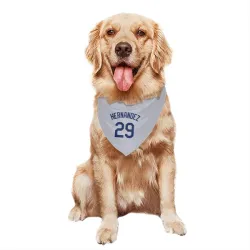 Los Angeles Dodgers Jonathan Hernandez Gray Pet Bandana for Dog & Cat