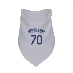 Los Angeles Dodgers Justin Wrobleski Gray Pet Bandana for Dog & Cat