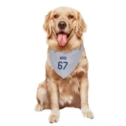 Los Angeles Dodgers Ryan Ward Gray Pet Bandana for Dog & Cat