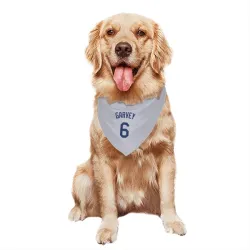 Los Angeles Dodgers Steve Garvey Gray Pet Bandana for Dog & Cat